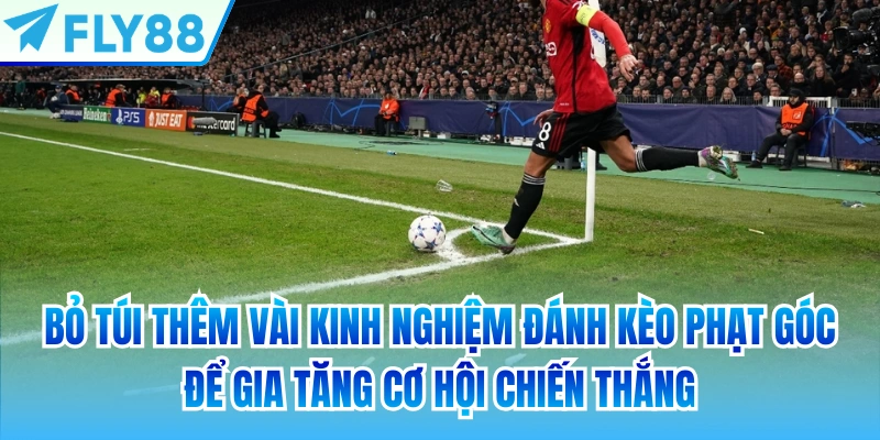Bỏ túi thêm vài kinh nghiệm đánh kèo phạt góc để gia tăng cơ hội chiến thắng