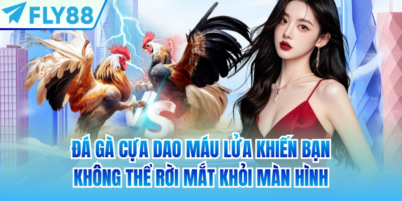 Đá gà cựa dao máu lửa khiến bạn không thể rời mắt khỏi màn hình
