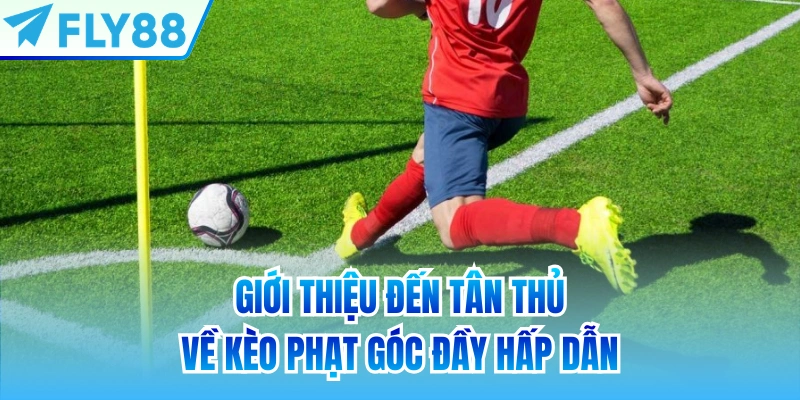 Giới thiệu đến tân thủ về kèo phạt góc đầy hấp dẫn